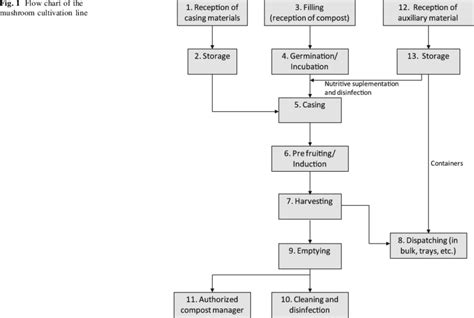 Flow chart of the mushroom cultivation line | Download Scientific Diagram