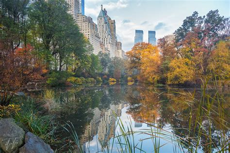 Morning at Central Park - Manhattan - Jacki Soikis Photography