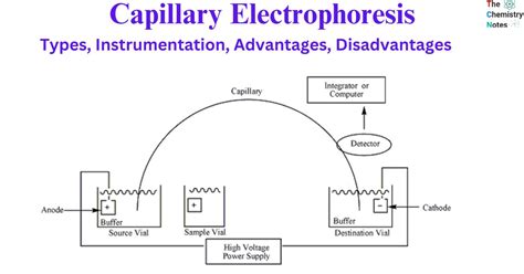 Capillary Electrophoresis: Types, Instrumentation, Uses