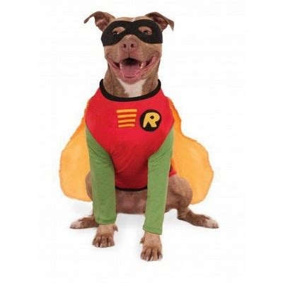 Rubies Robin - Big Dogs Pet Costume X Large : Target