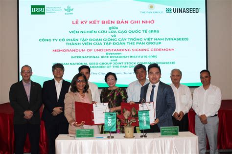 IRRI joins forces with Vietnam Seed Corporation to develop premium rice varieties ...