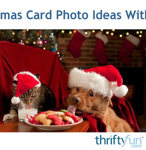 Christmas Card Photo Ideas With Pets | ThriftyFun