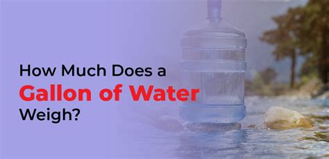 How Much Does a Gallon of Water Weigh? – Education Career