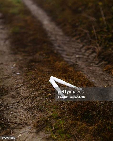 109 Broken Table Leg Stock Photos, High-Res Pictures, and Images - Getty Images