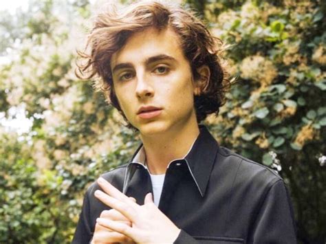 Timothée Chalamet Biography, Age, Height, Girlfriend, Net Worth - StarsWiki