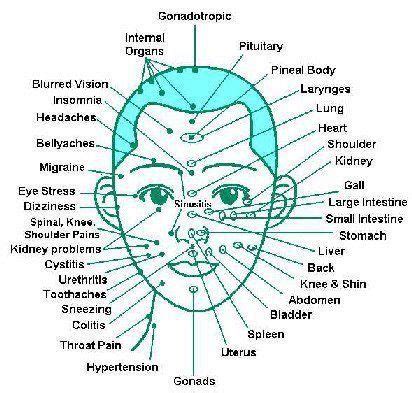 The facial nerve points that correspond to the rest of your body ...