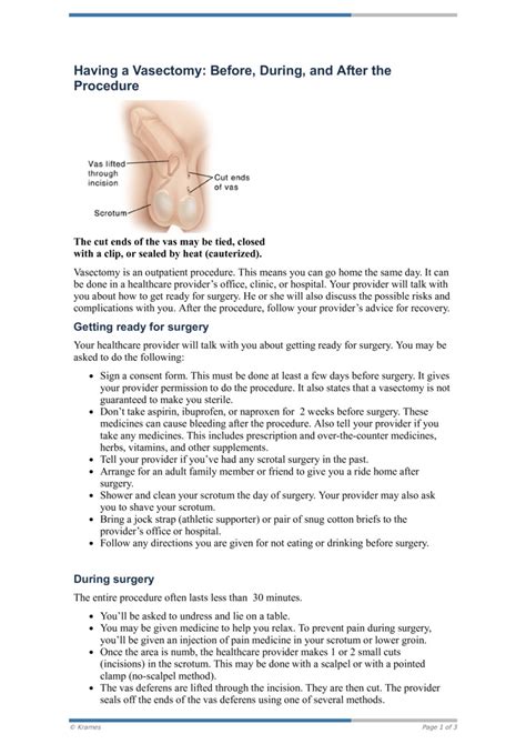 PDF - Having a Vasectomy: Before, During, and After the Procedure ...