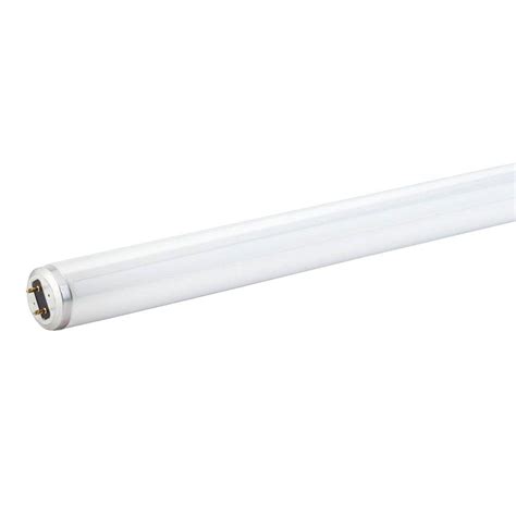 Philips 18 in. 15-Watt T8 Cool White (4100K) Linear Fluorescent Light ...