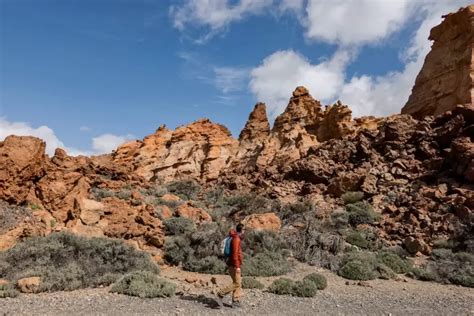 Hiking Tenerife: The 23 Best Hikes In Tenerife