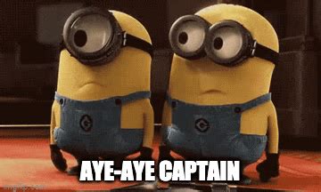 Aye Aye Captain Gif