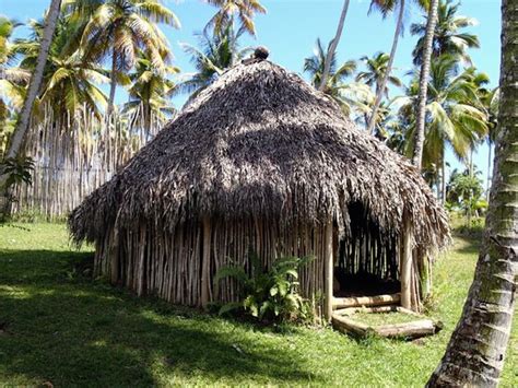 Taino hut recreation - Picture of Tainopark, Santa Barbara de Samana - TripAdvisor