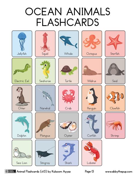 Ocean Animal Flashcards | Free Printable Papercraft Templates