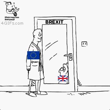 Cat-door-brexit