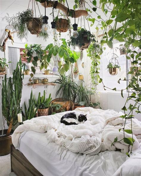 Bringing nature to your room | Bedroom plants decor, Room ideas bedroom, Simple bedroom