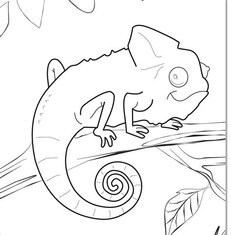 Chameleon Coloring Pages - ColoringBay