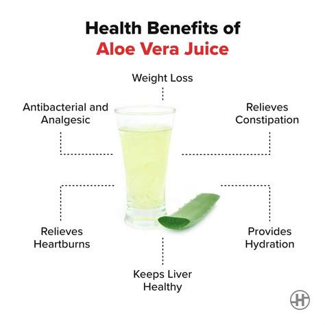 Aloe Vera Juice - Benefits, Uses, Nutrition, And More - Blog - HealthifyMe