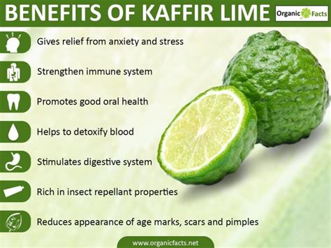 9 Surprising Benefits of Kaffir Lime | Organic Facts