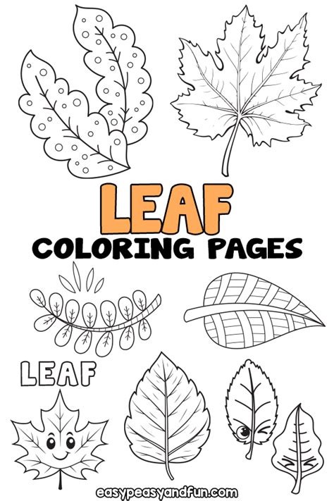 Printable Leaf Coloring Pages – 25 Sheets - Easy Peasy and Fun