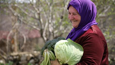 Finland and UNDP Renew Partnership for Resilience in Response to Impacts of Syria Crisis in the ...