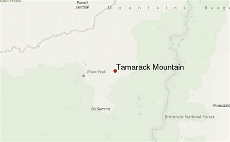 Tamarack Mountain Mountain Information