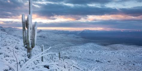 10 Images of Arizona that Prove it is Not Just a Dry Desert