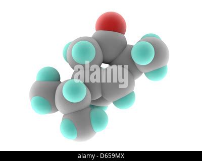 Thujone absinthe molecule, chemical structure. Skeletal formula Stock ...