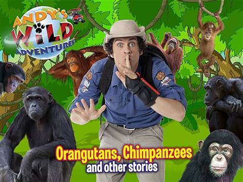 Watch Andy's Wild Adventures: Orangutans, Chimpanzees and other stories ...