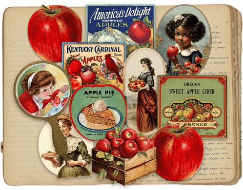 Vintage Apple Sticker Pack – Cherry Moon Factory