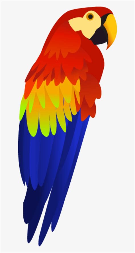 Details 200 transparent background parrot png - Abzlocal.mx