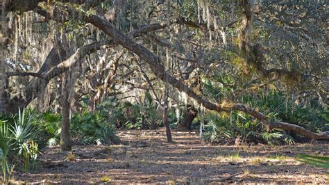 Florida Hiking Map | Hiking Trails | Florida Hikes