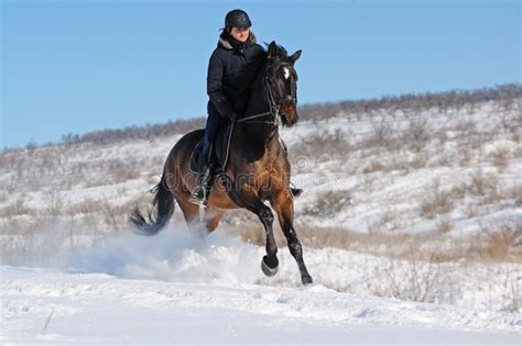 Horseback riding in winter stock image. Image of equine - 47175545