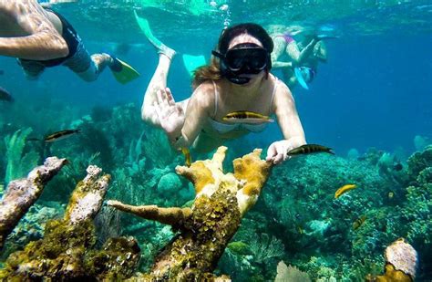 Snorkel Isla Catalina - Weiler Caribbean Sea