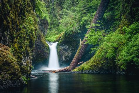 Spring Waterfall Chasing: Local’s Guide to the Best 10 Waterfalls in ...