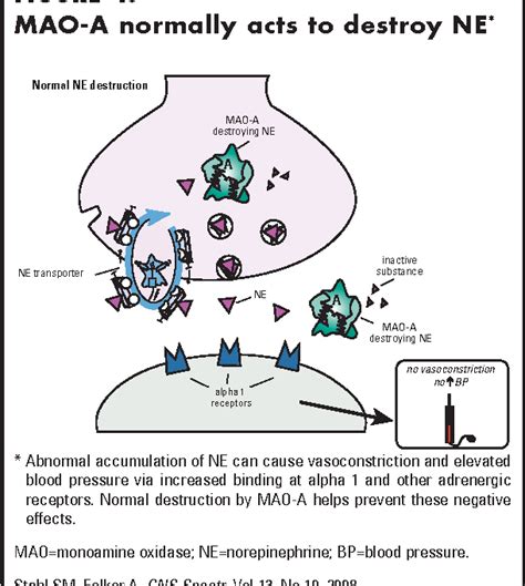 Monoamine oxidase inhibitors: a modern guide to an unrequited class of antidepressants ...