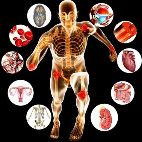 Online Anatomy and Physiology Theory L3/L4 | The Online Beauty Courses