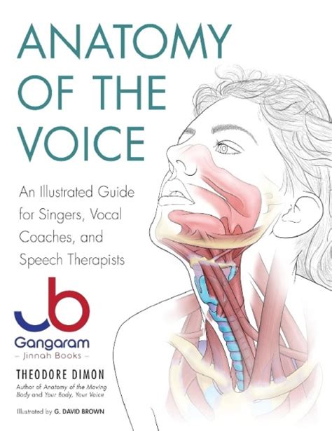 Anatomy of the Voice