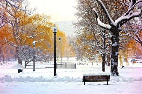 Snow in Boston Common | Winter scenes, Snow, Winter photos