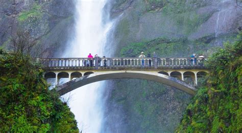 Best Time To Visit Corbett Waterfall (Jim Corbett) In 2024