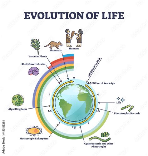 Evolution of life with round timeline for living creatures development ...