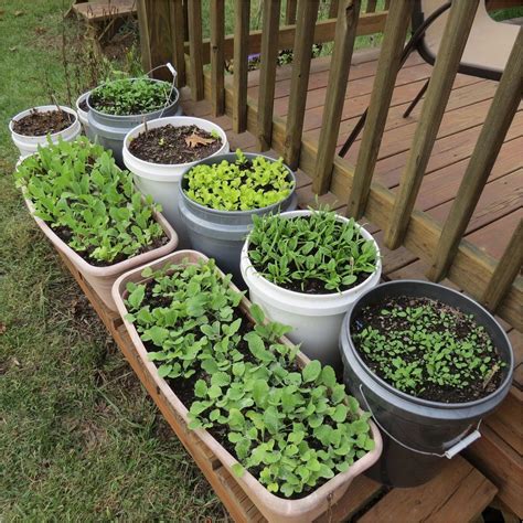 DIY Creative Patio Vegetable Garden Containers Ideas - ViralDecoration | Small vegetable gardens ...