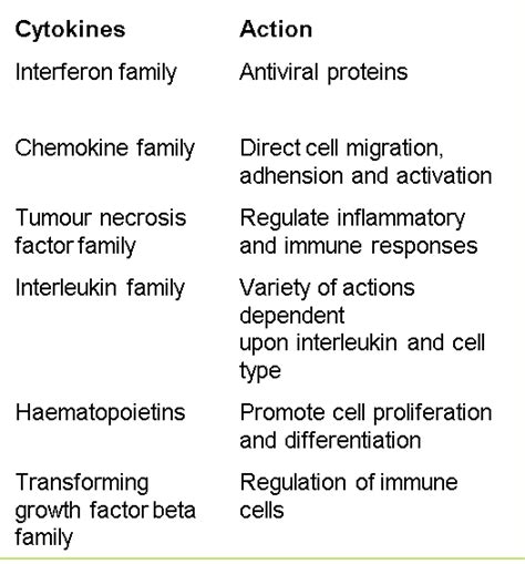 Cytokines: Introduction | British Society for Immunology