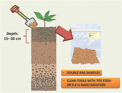 Diagram Of Soil Sampling