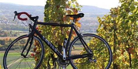 Napa Valley Winery Bike Ride - 7x7 Bay Area