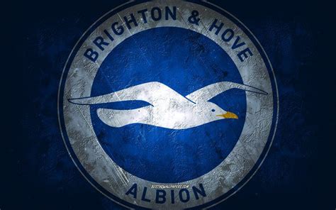 thumb2-brighton-hove-albion-fc-english-football-club-blue-stone ...