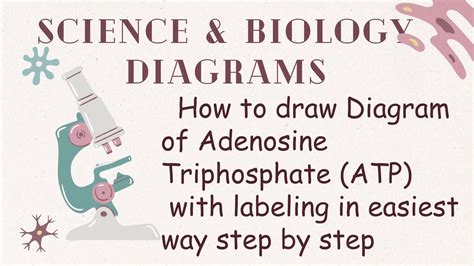 Learn how to draw diagram of ATP in easy way | subscribe plzzz #atp # ...