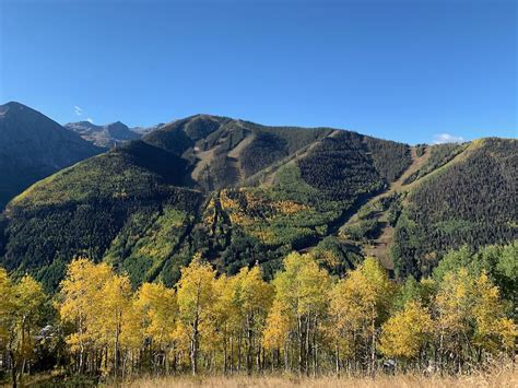 Fall Colors Are Popping Out | Visit Telluride