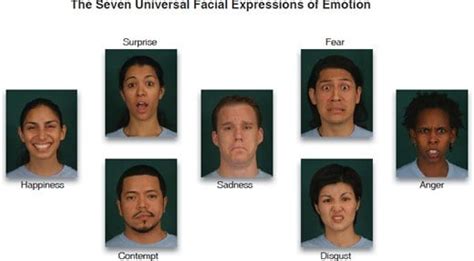 The Seven Universal Facial Expressions of Emotion — LEB