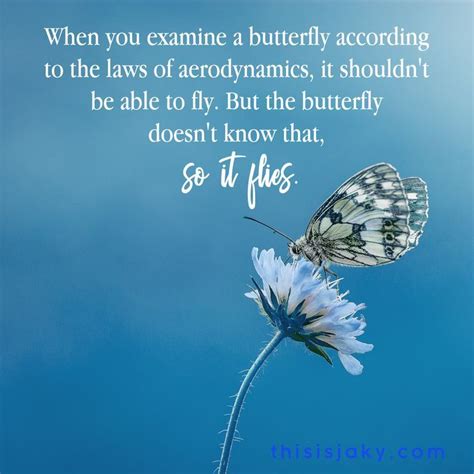 So it flies. | Butterfly quotes, Fly quotes, Good luck quotes