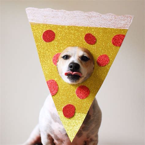 Pizza dog Funny Animal Memes, Funny Animals, Cute Animals, Super Bowl ...