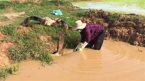 Unclogging Culvert Farm Removing all Rubbish from Waterways - YouTube